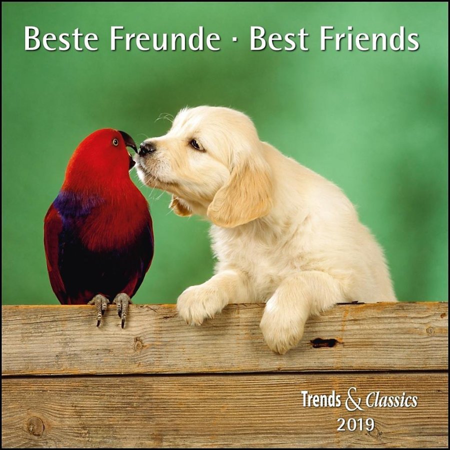 beste-freunde-best-friends-2019-222570424